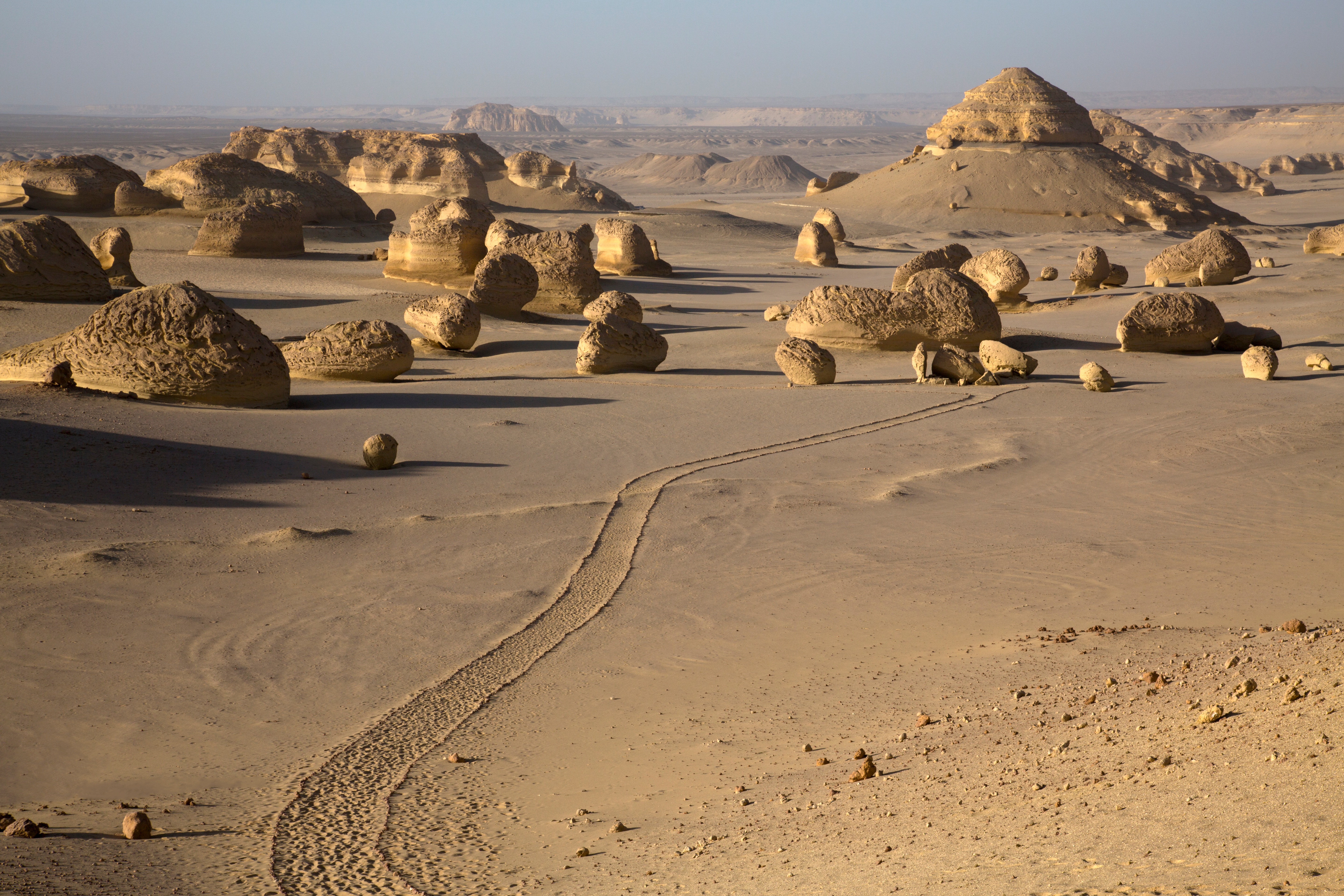 The valley of whales in Egypt - Al Fayoum
